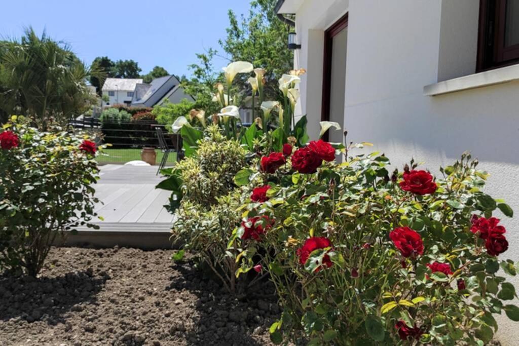 ✪ Sur La Route Des Plages - Maison Pour 8 Pers. ✪ Auray Buitenkant foto